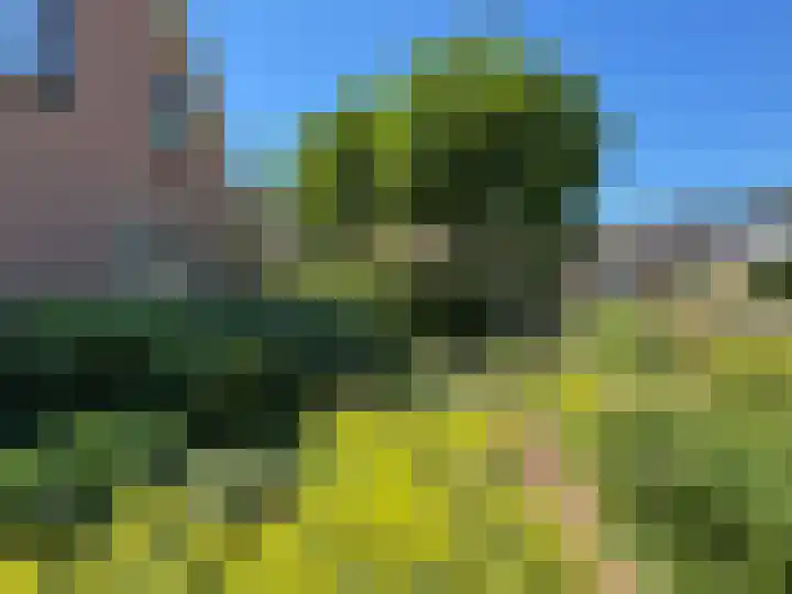 Luunkamp 14 Dalen thumbnail 9