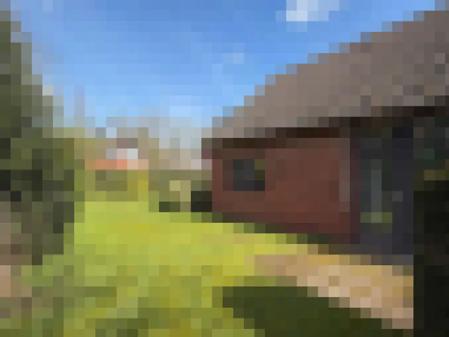 Luunkamp 41 Dalen thumbnail 10
