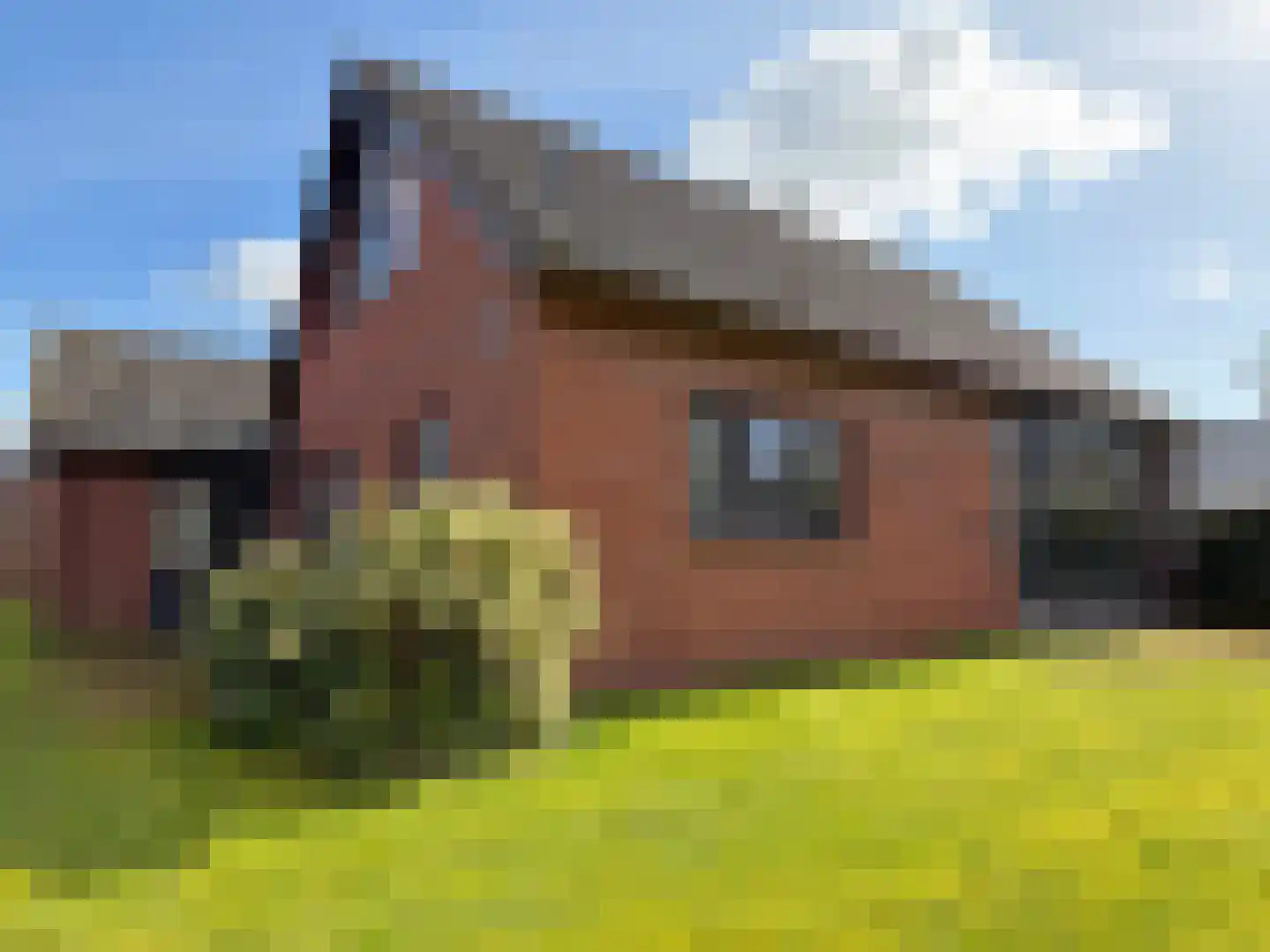 Luunkamp 41 Dalen thumbnail 11