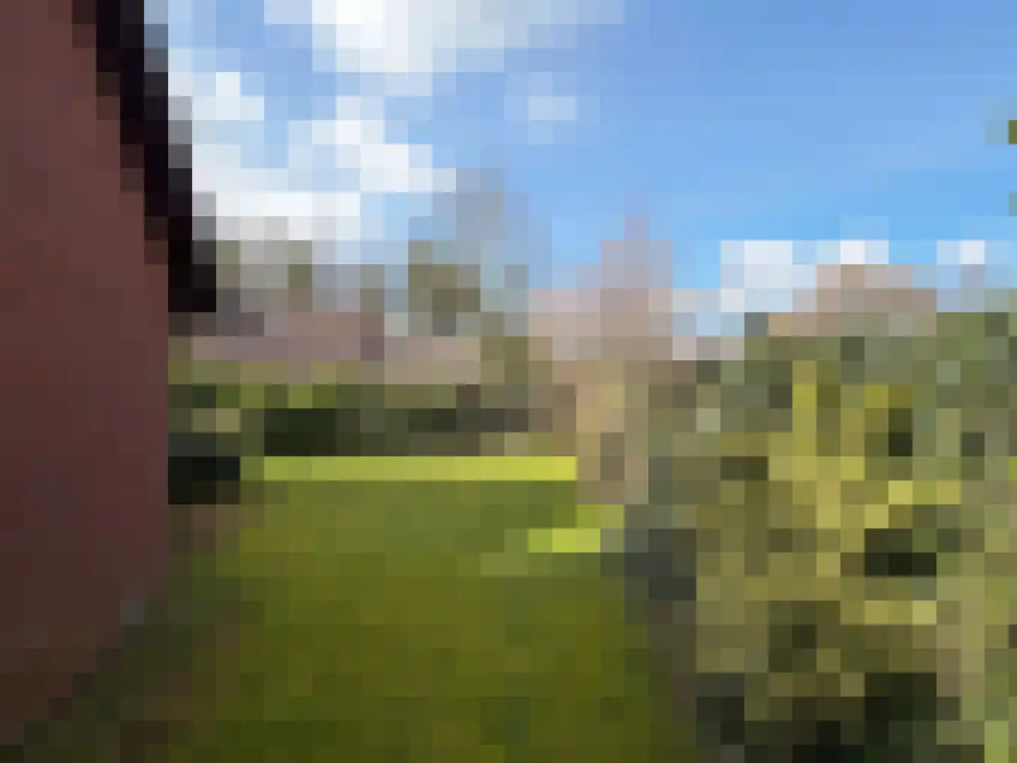 Luunkamp 41 Dalen thumbnail 13