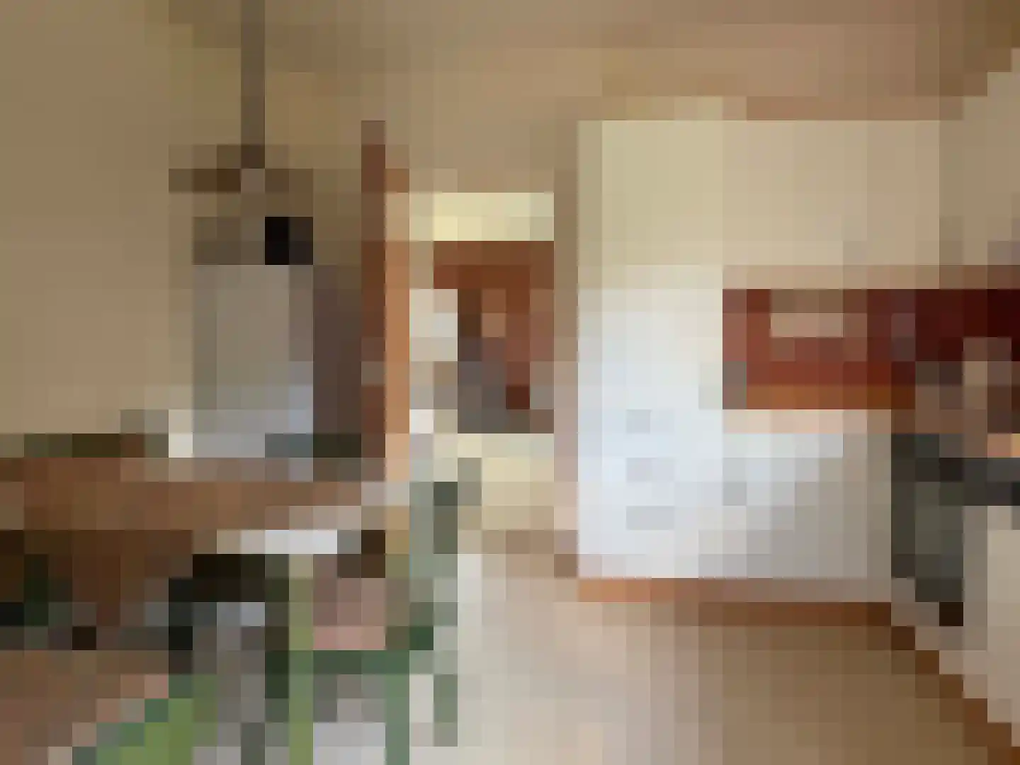 Luunkamp 41 Dalen thumbnail 26