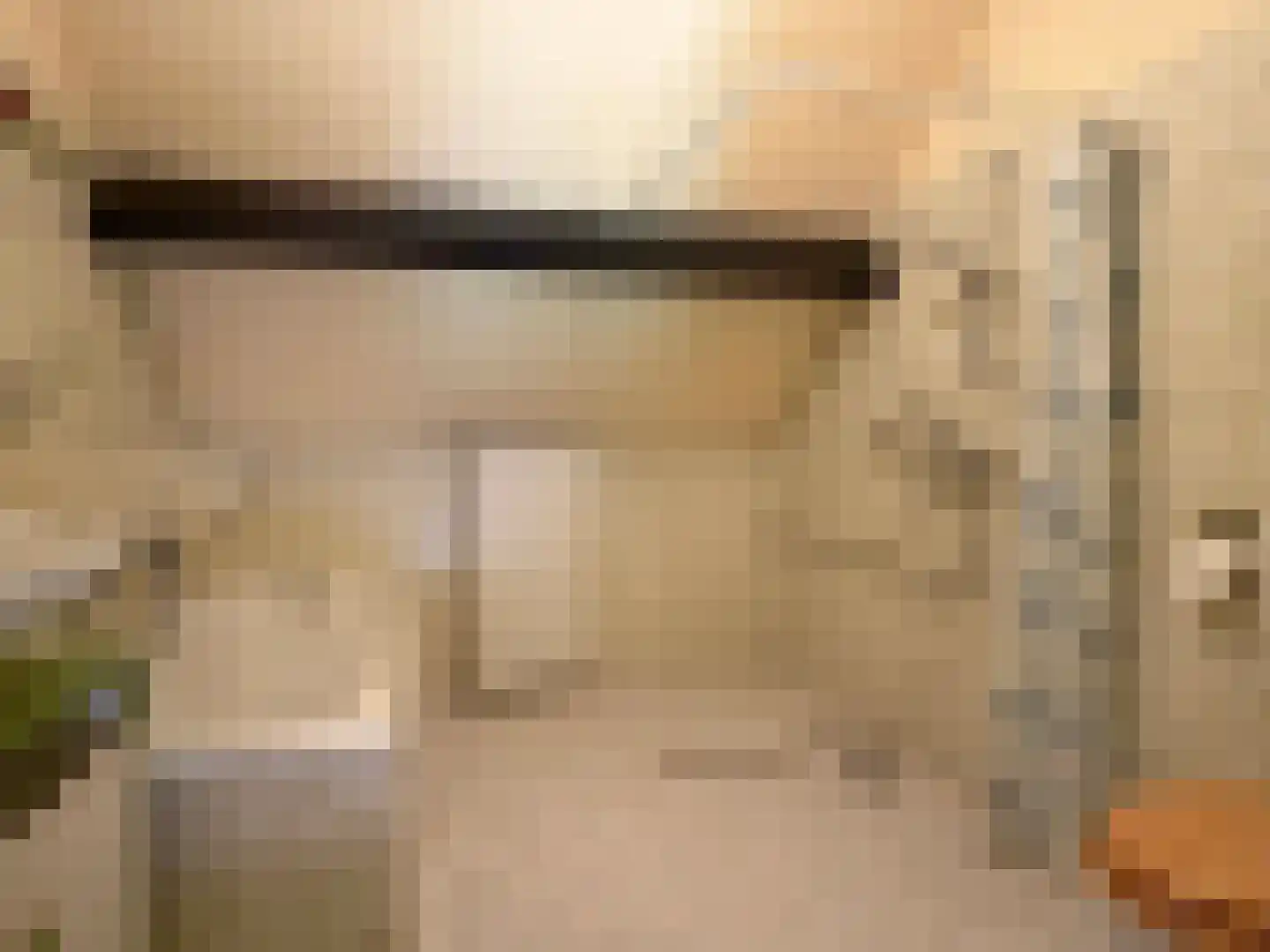 Luunkamp 41 Dalen thumbnail 34