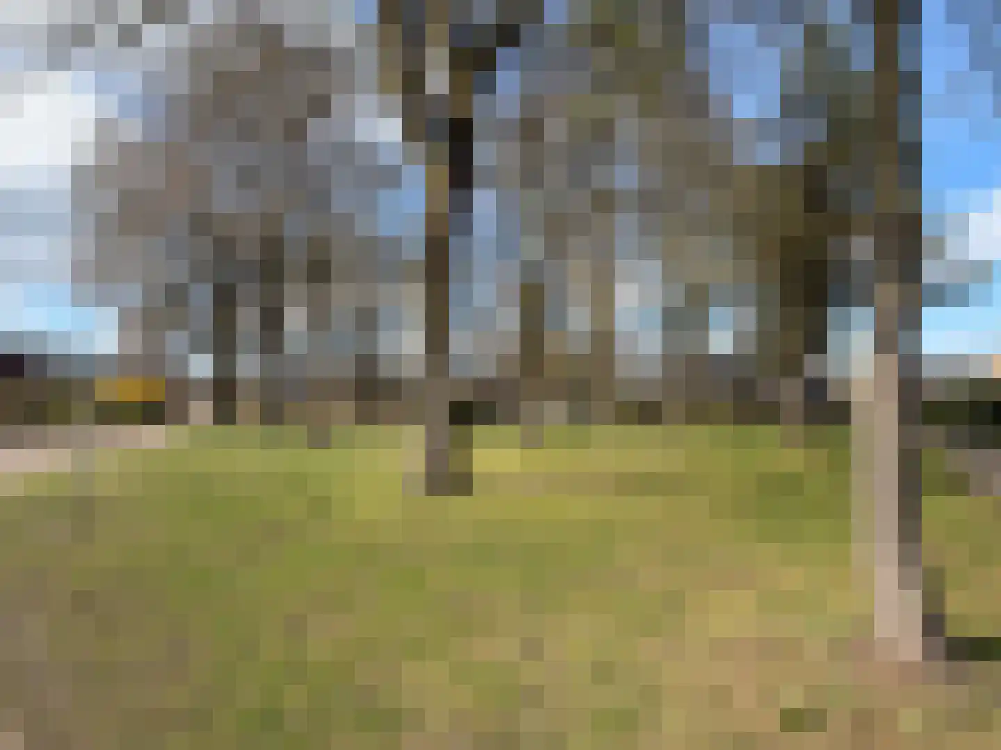 Luunkamp 41 Dalen thumbnail 4