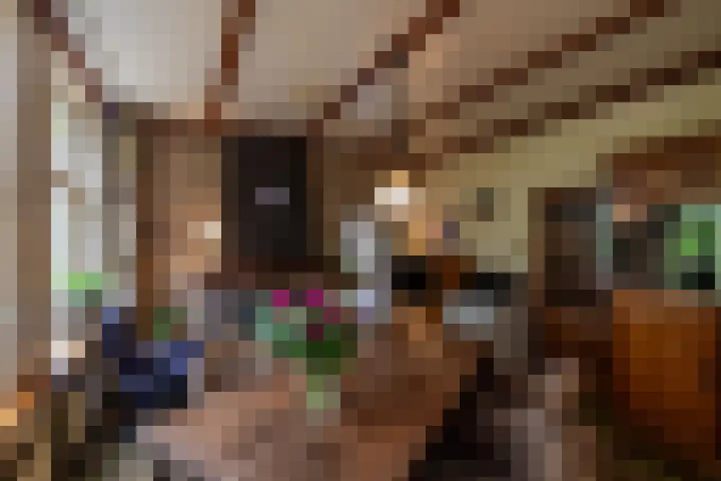 Luutkampenweg 8 Yde thumbnail 14