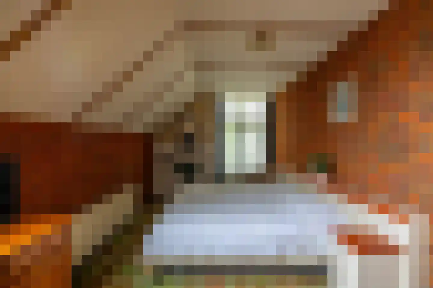 Luutkampenweg 8 Yde thumbnail 19