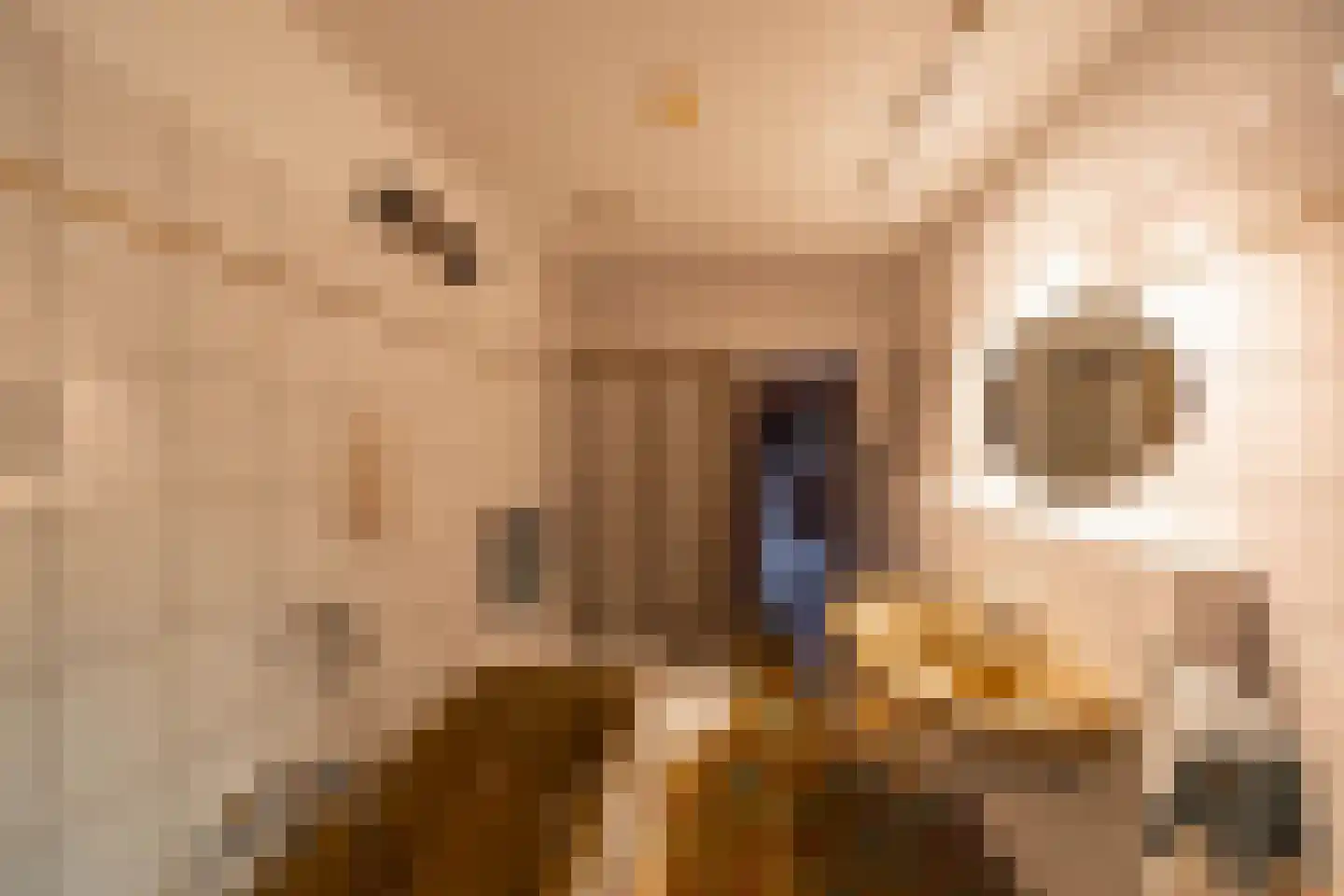 Luutkampenweg 8 Yde thumbnail 20