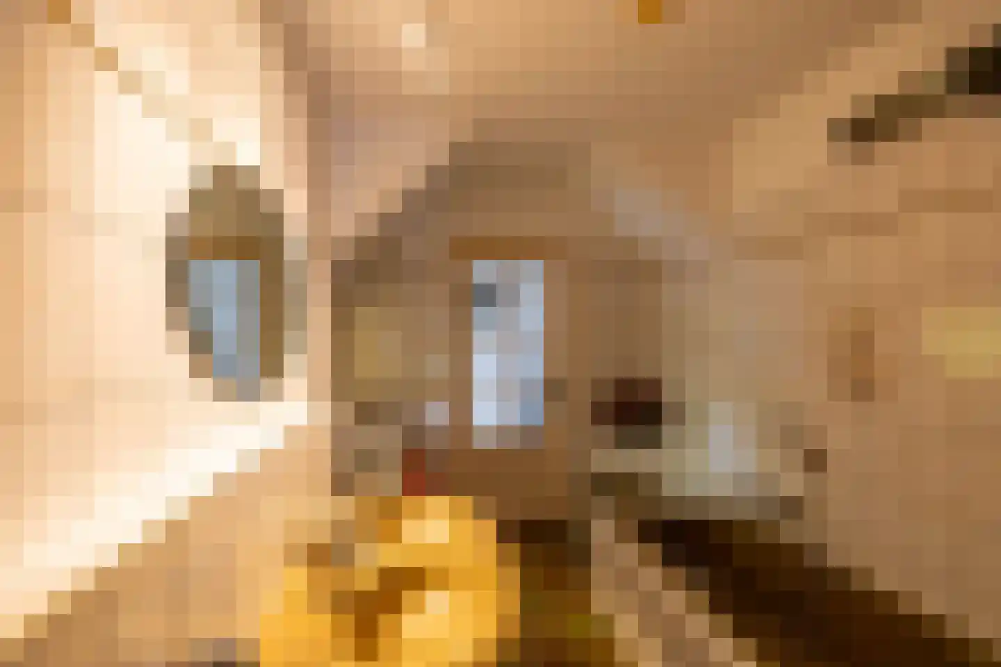 Luutkampenweg 8 Yde thumbnail 21