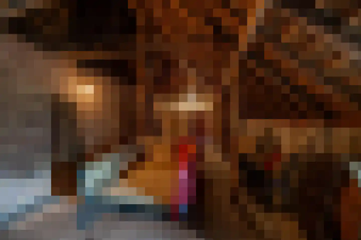 Luutkampenweg 8 Yde thumbnail 28