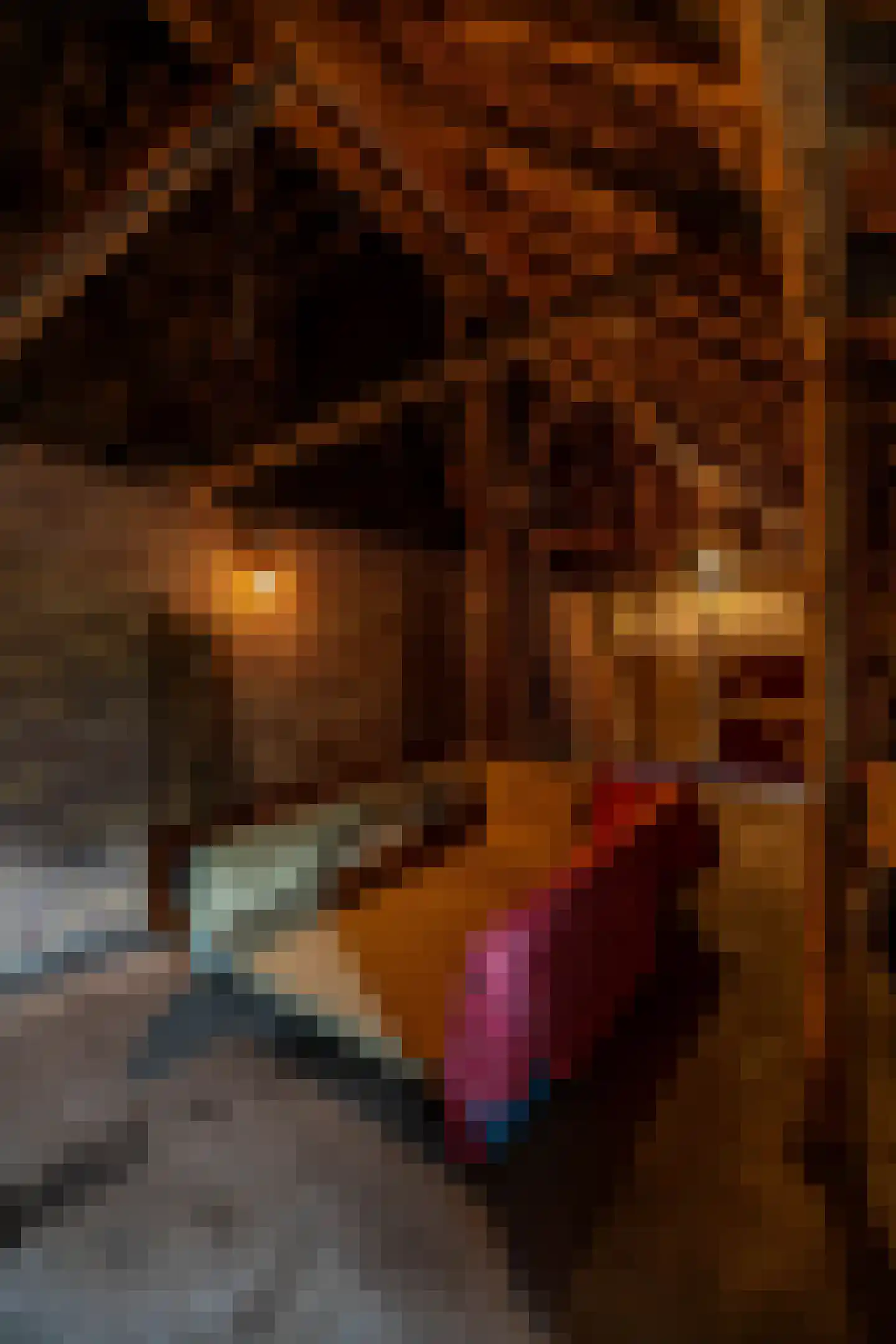 Luutkampenweg 8 Yde thumbnail 29