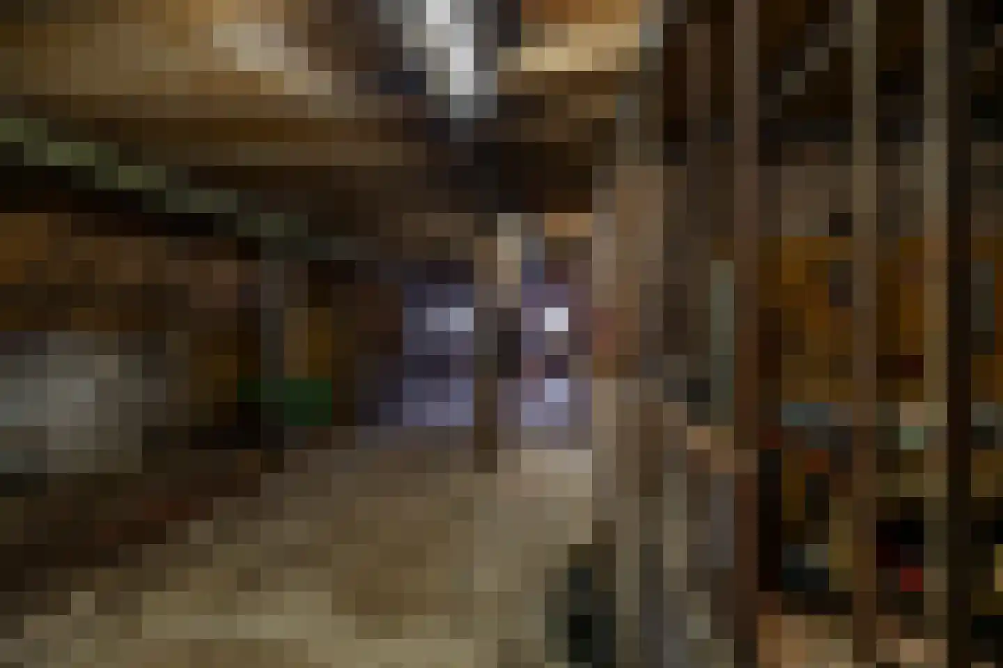 Luutkampenweg 8 Yde thumbnail 30
