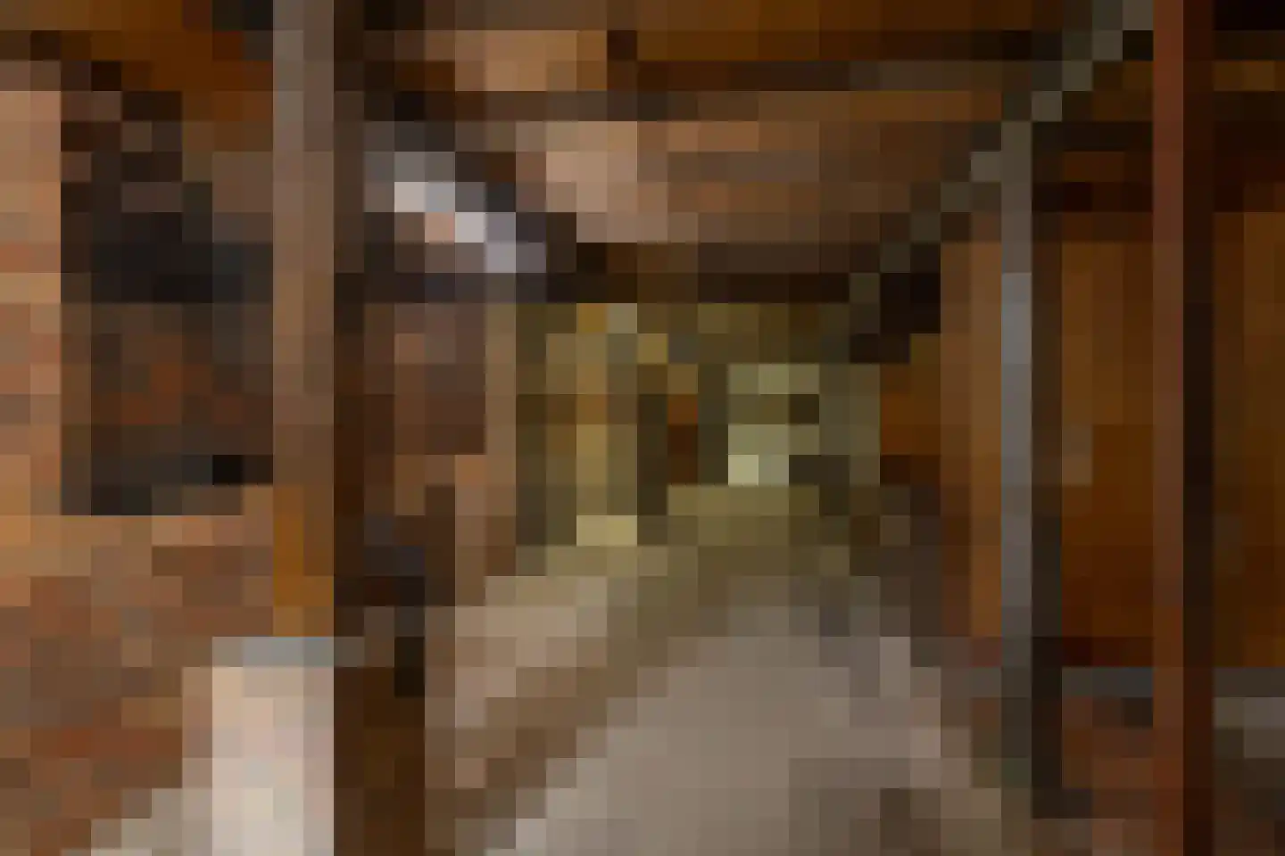 Luutkampenweg 8 Yde thumbnail 31