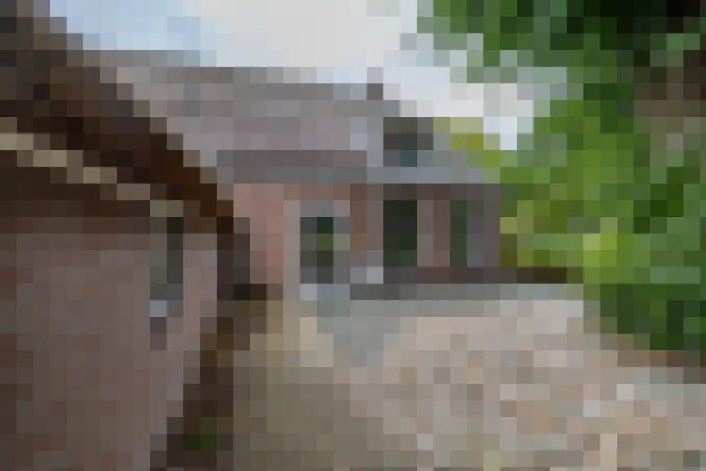 Luutkampenweg 8 Yde thumbnail 33