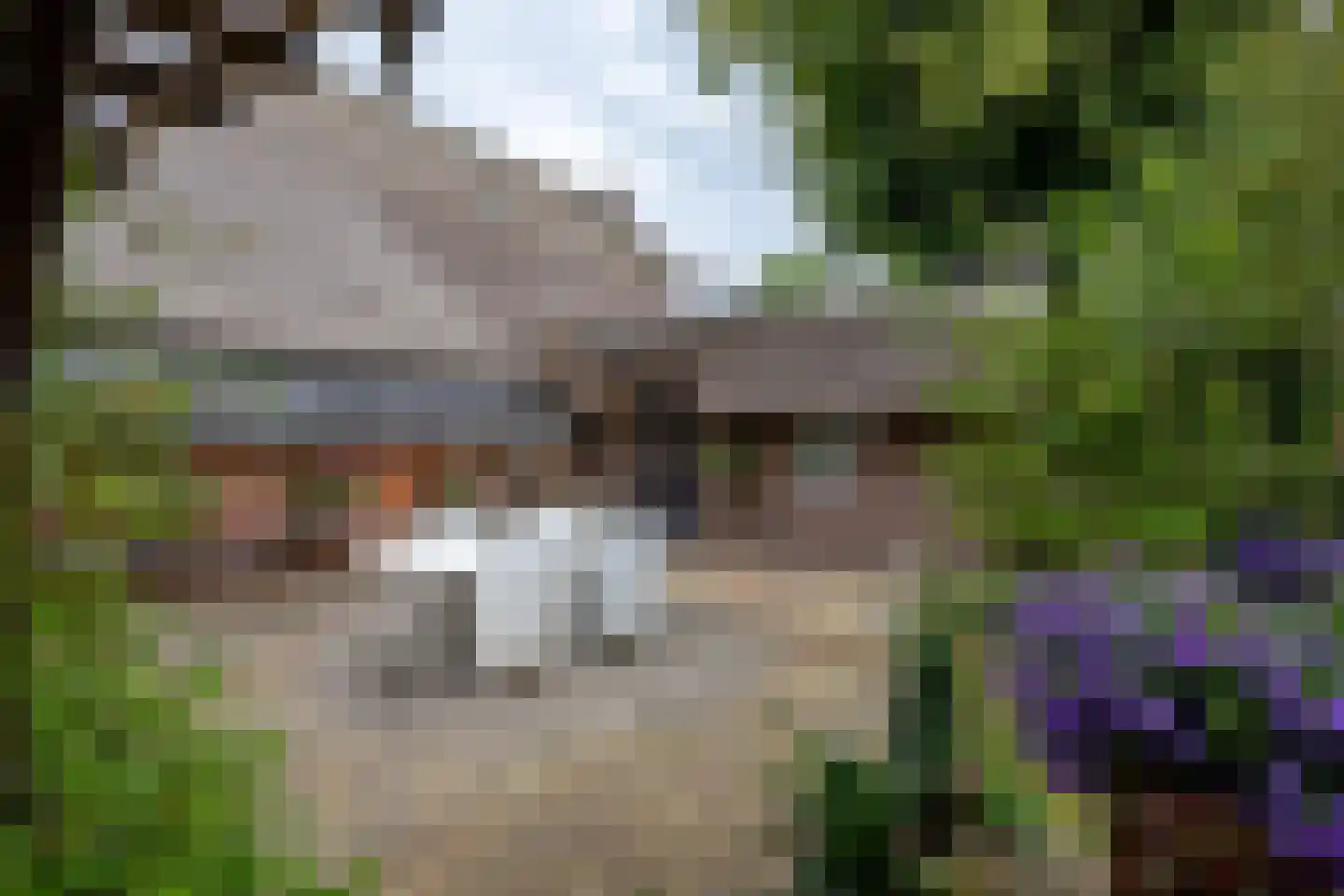 Luutkampenweg 8 Yde thumbnail 34