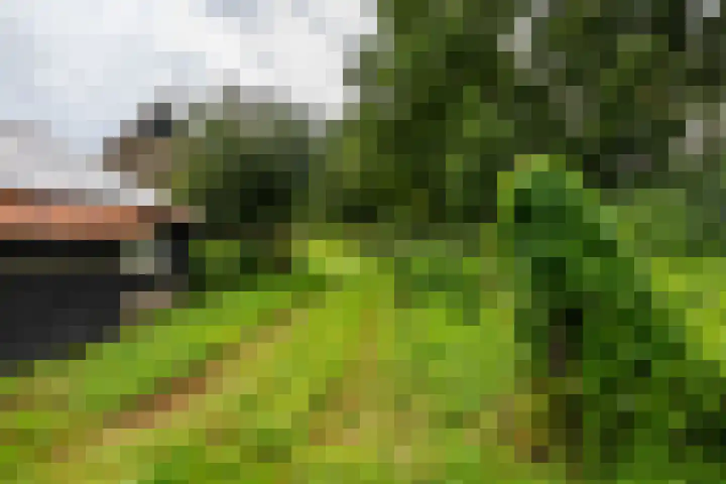 Luutkampenweg 8 Yde thumbnail 39