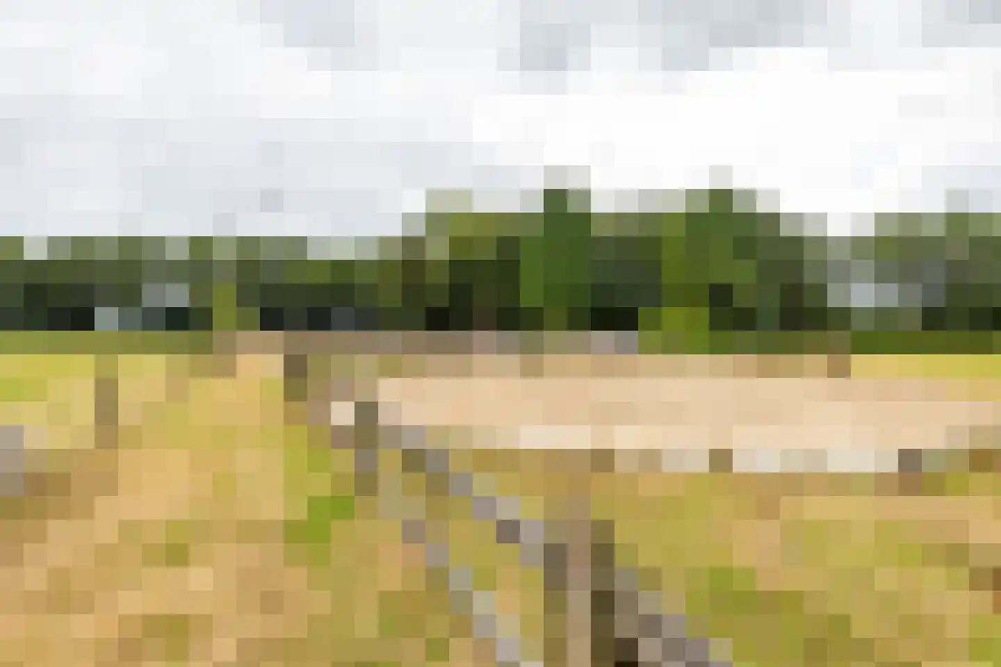 Luutkampenweg 8 Yde thumbnail 4