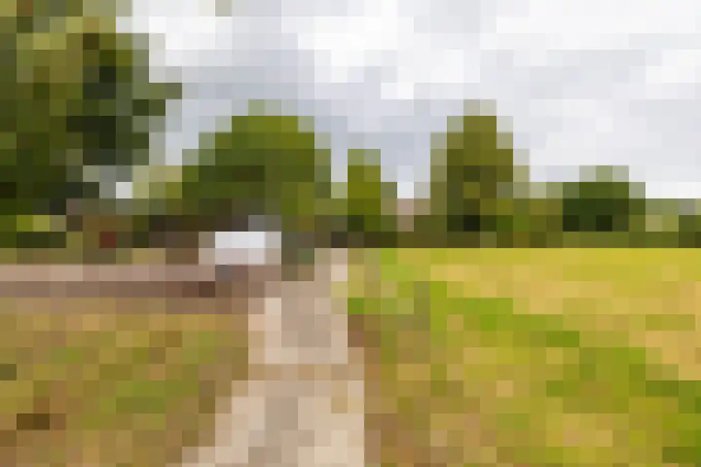 Luutkampenweg 8 Yde thumbnail 40