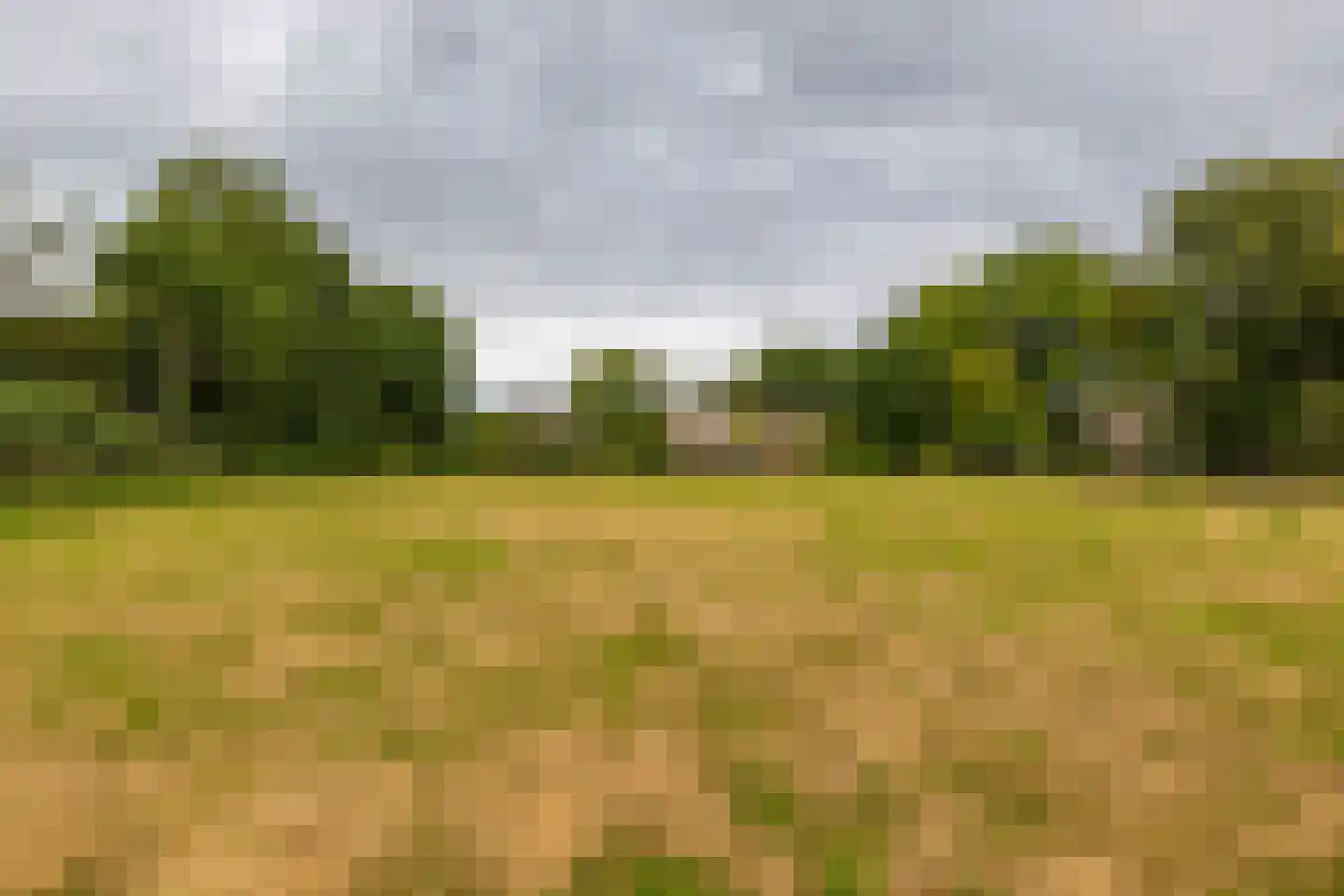 Luutkampenweg 8 Yde thumbnail 41