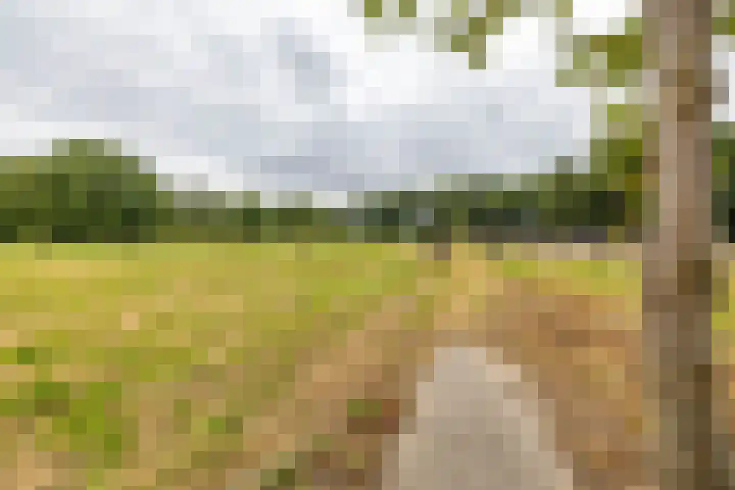 Luutkampenweg 8 Yde thumbnail 42