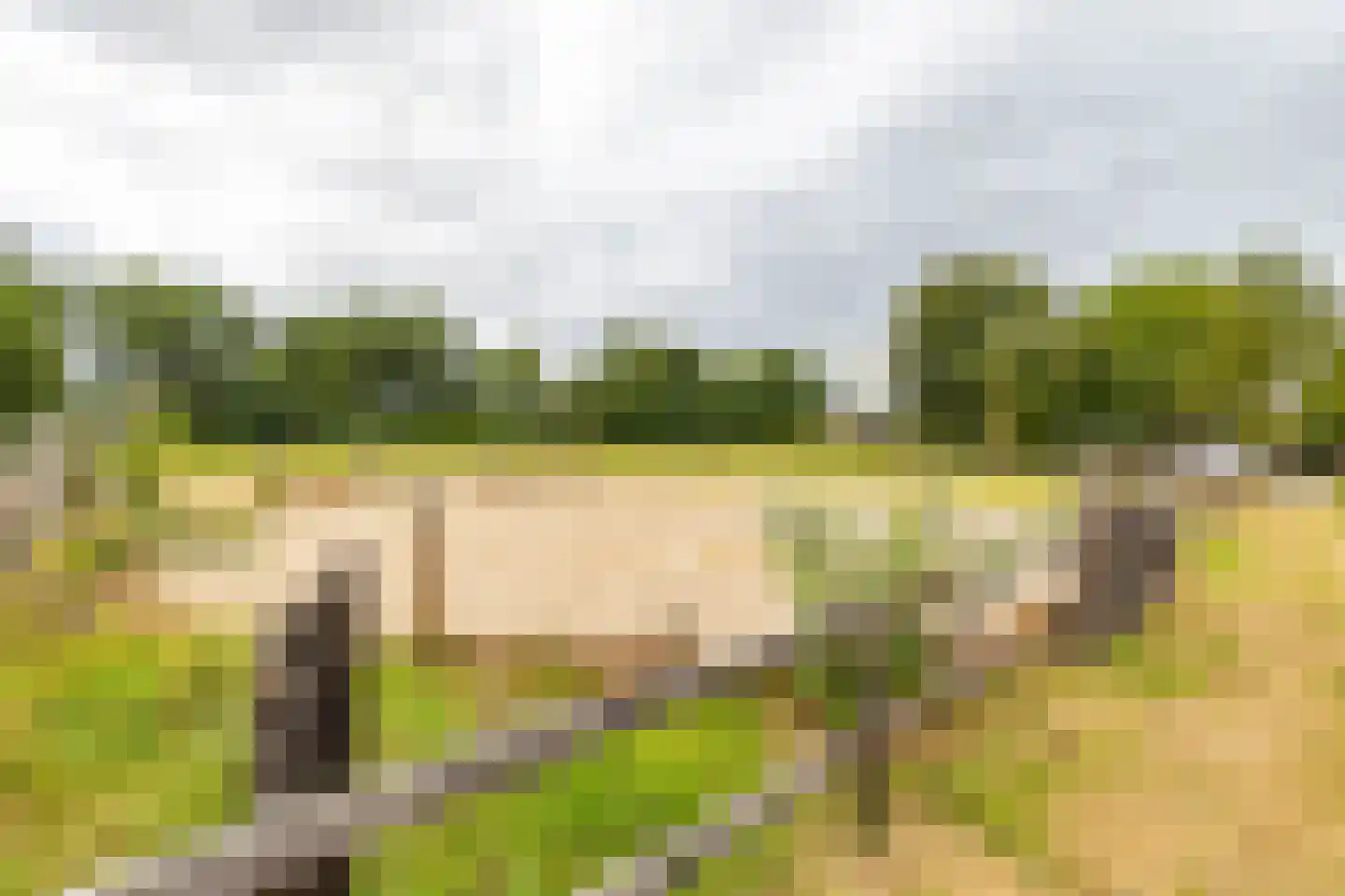 Luutkampenweg 8 Yde thumbnail 43