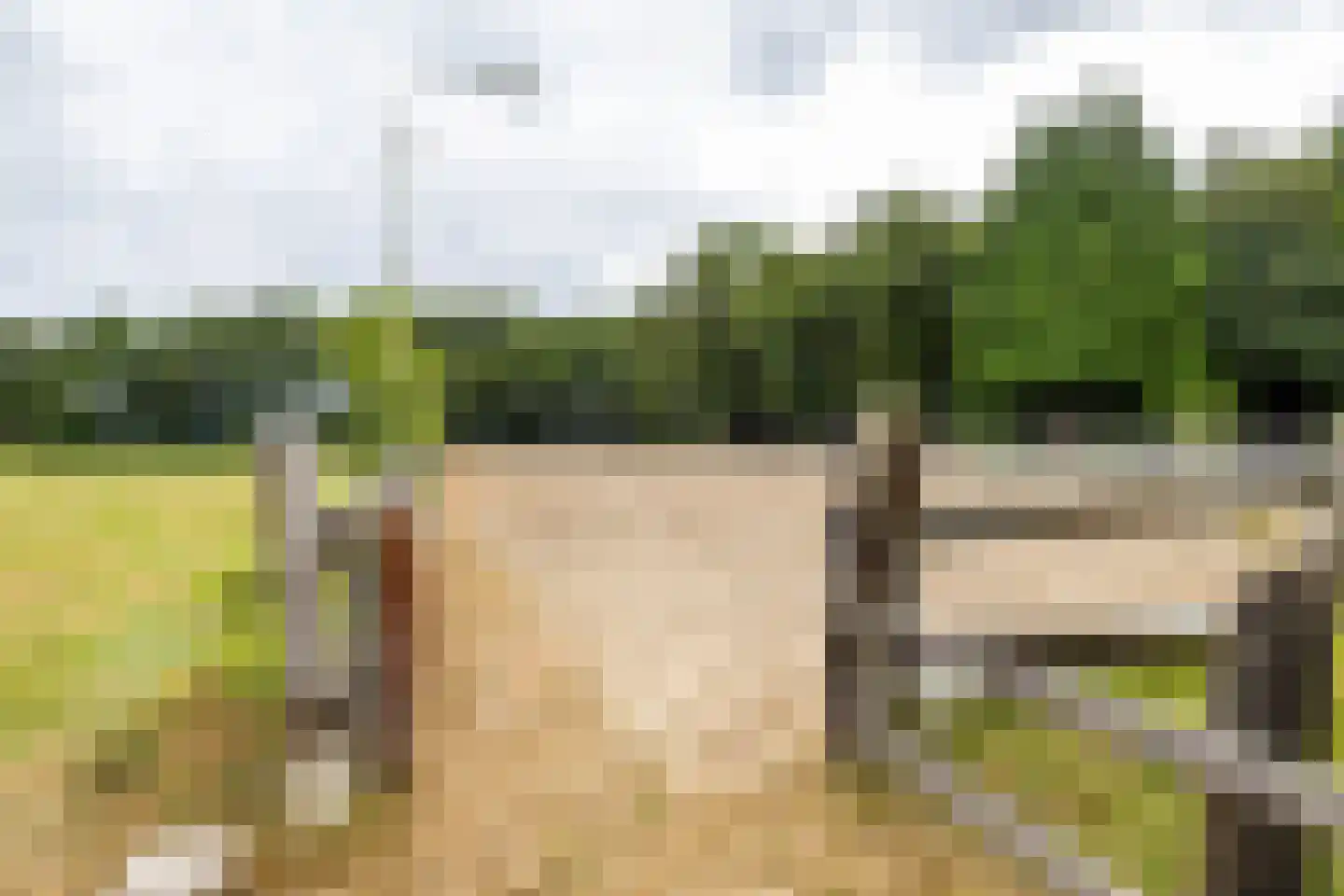 Luutkampenweg 8 Yde thumbnail 44