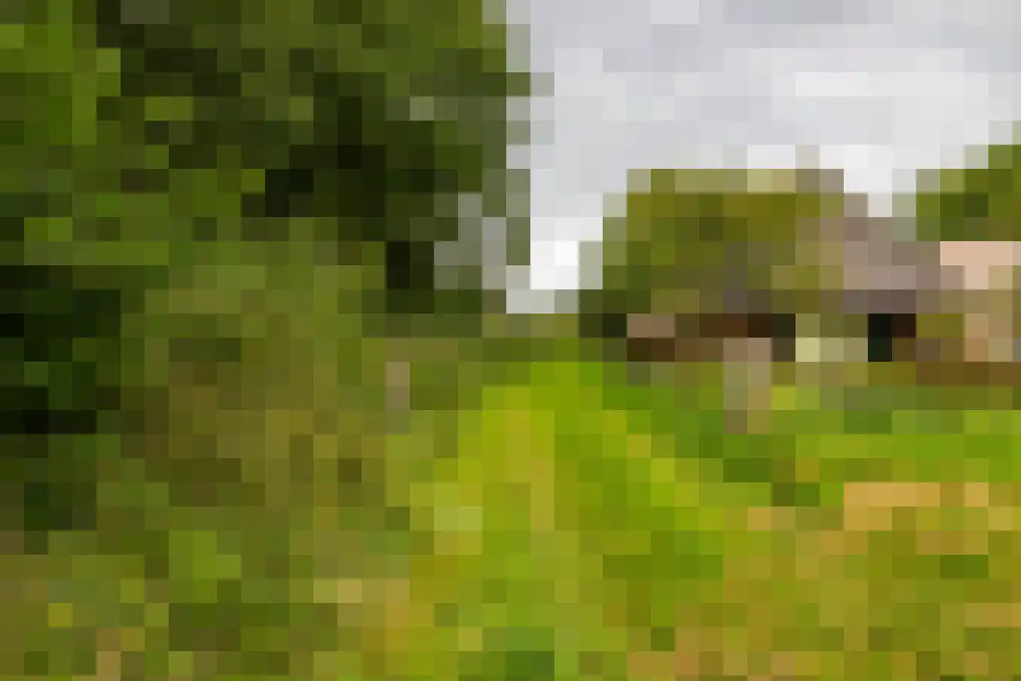 Luutkampenweg 8 Yde thumbnail 45