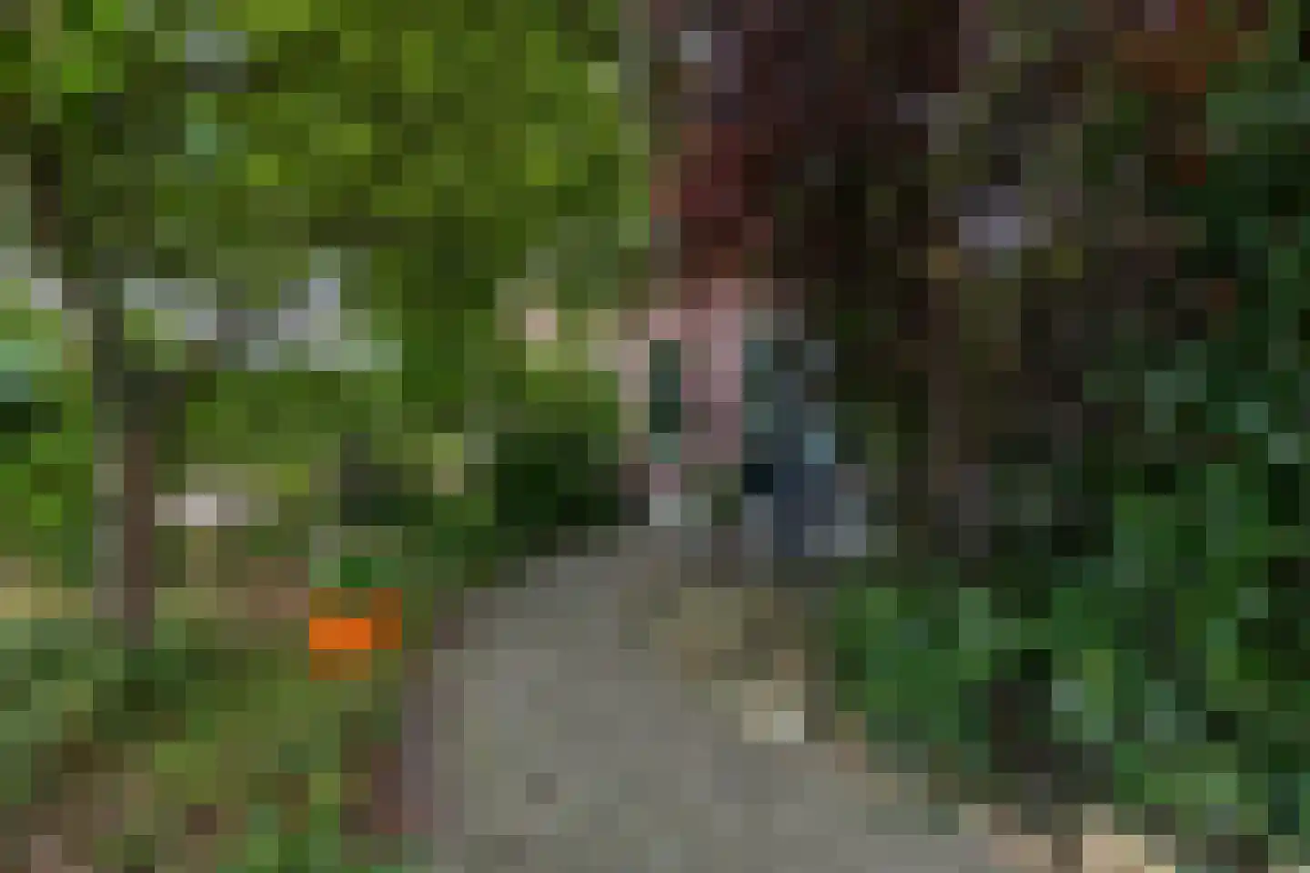 Luutkampenweg 8 Yde thumbnail 46
