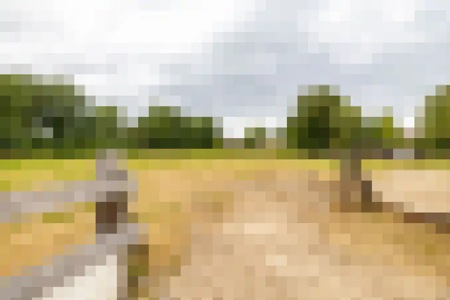 Luutkampenweg 8 Yde thumbnail 47