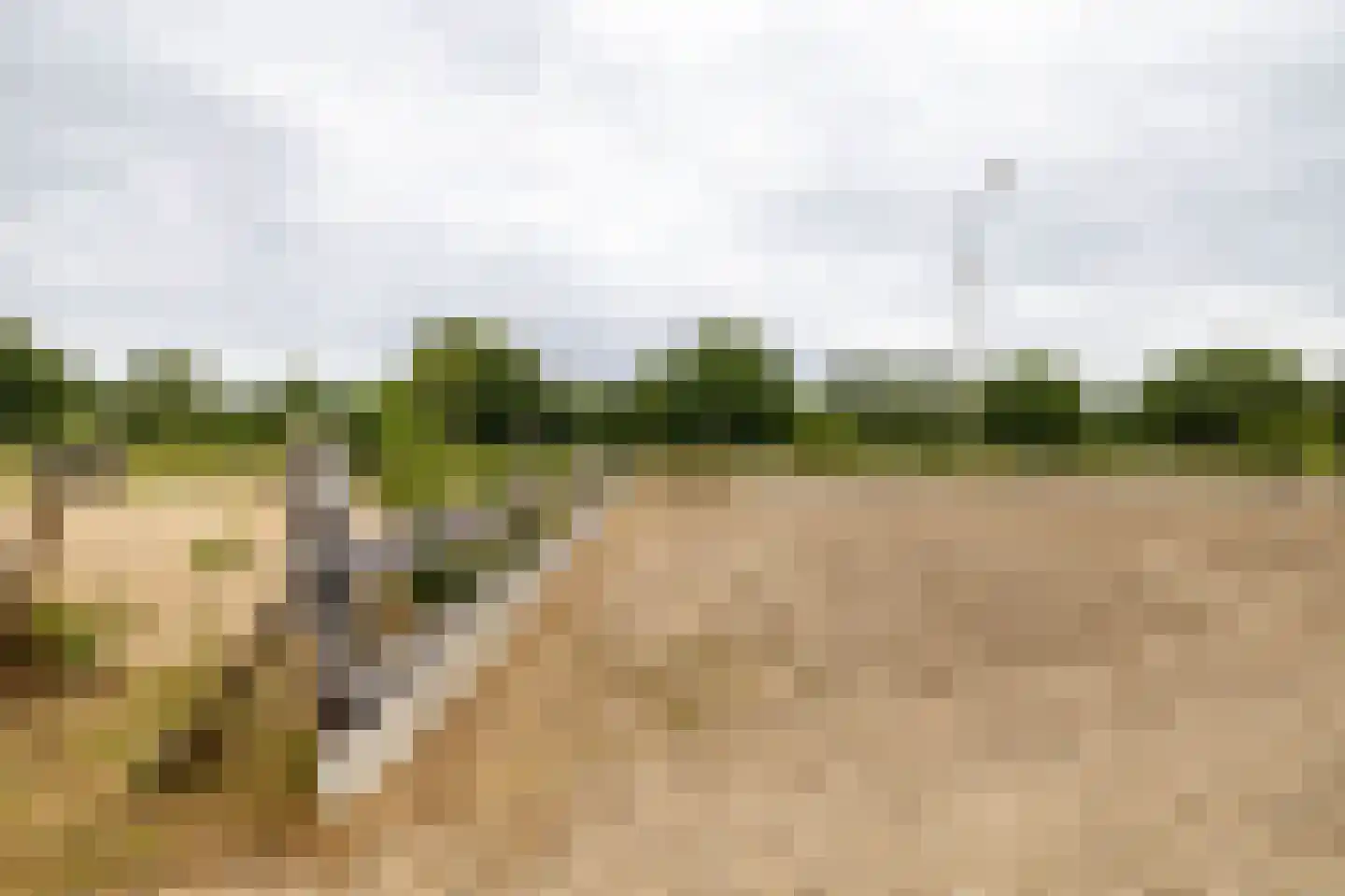 Luutkampenweg 8 Yde thumbnail 49