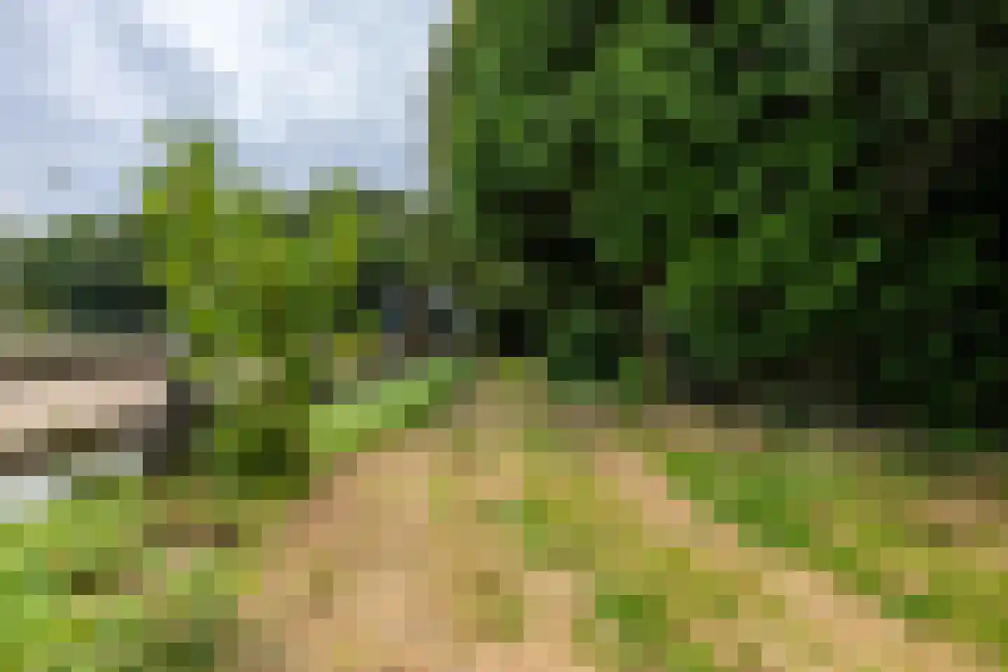Luutkampenweg 8 Yde thumbnail 5
