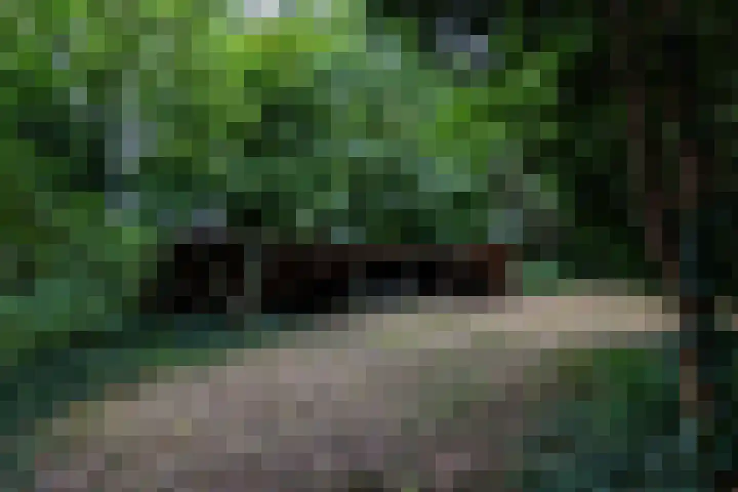 Luutkampenweg 8 Yde thumbnail 50