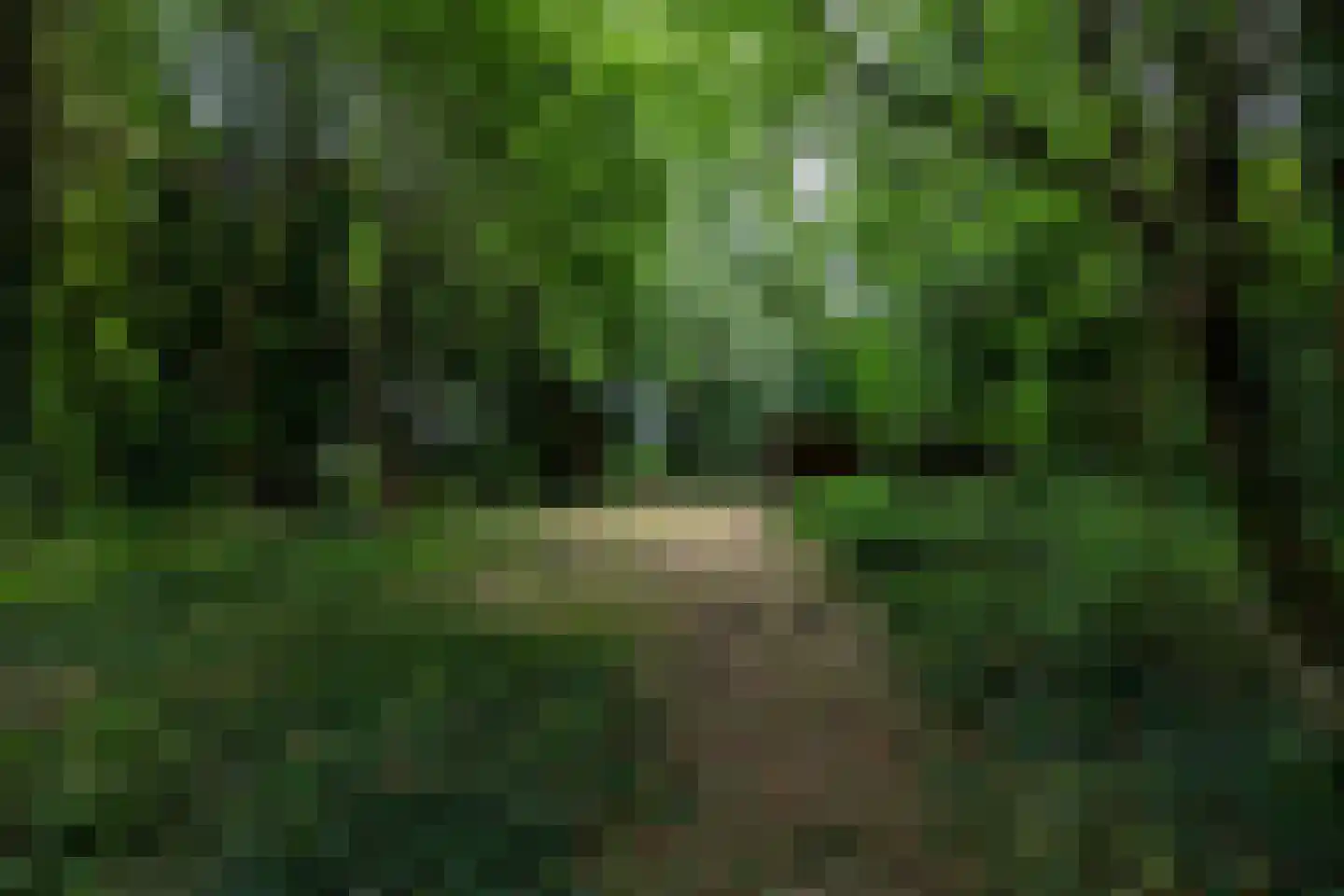 Luutkampenweg 8 Yde thumbnail 51