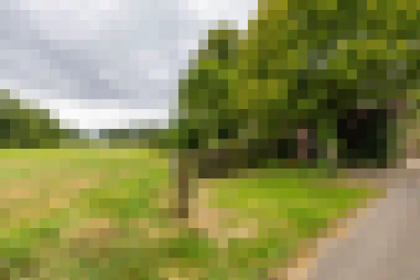 Luutkampenweg 8 Yde thumbnail 58