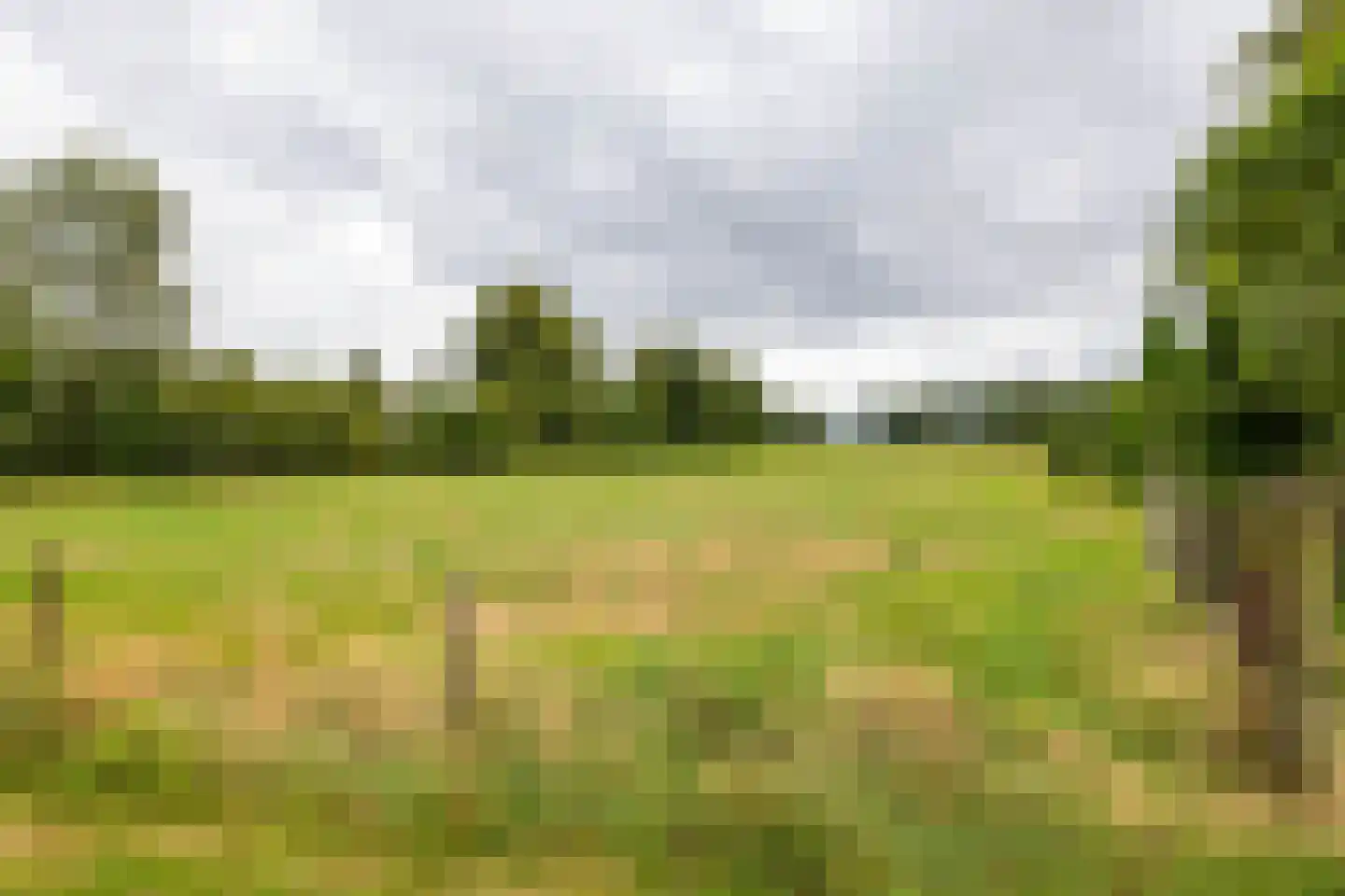 Luutkampenweg 8 Yde thumbnail 59
