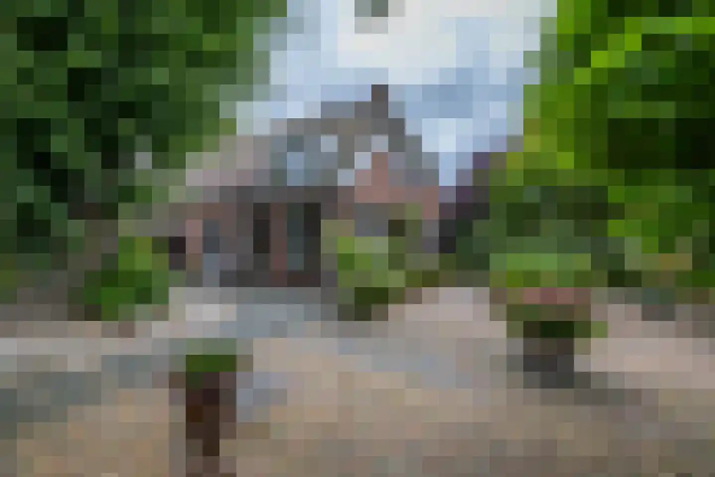 Luutkampenweg 8 Yde thumbnail 6