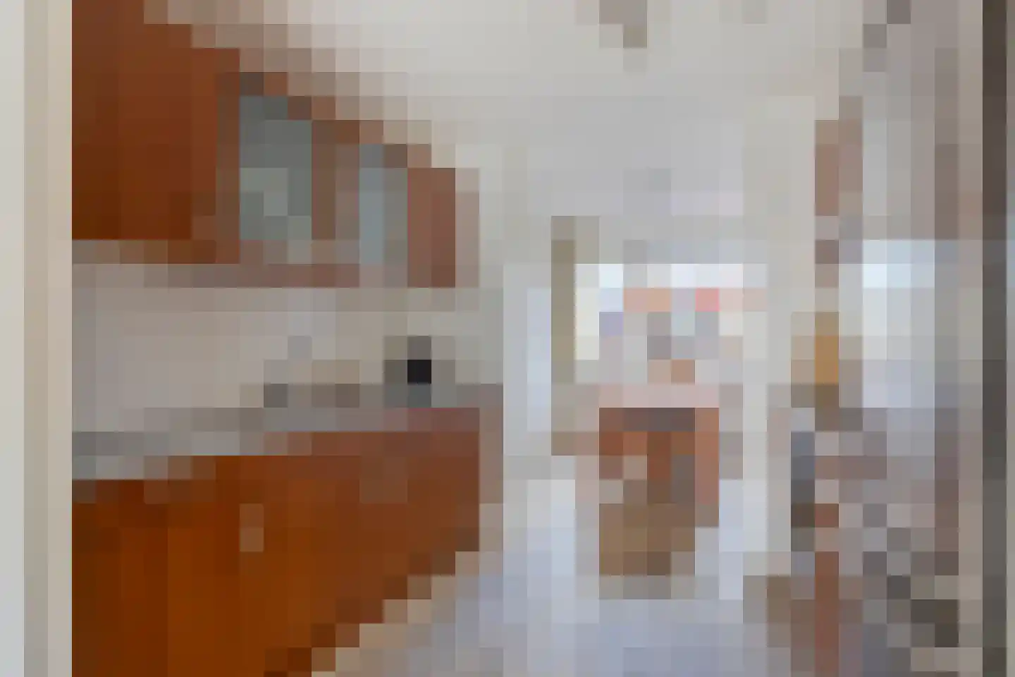 Luwte 29 Assendelft thumbnail 7