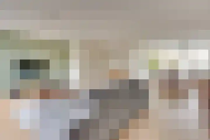 Luwte 3 De Meern thumbnail 13
