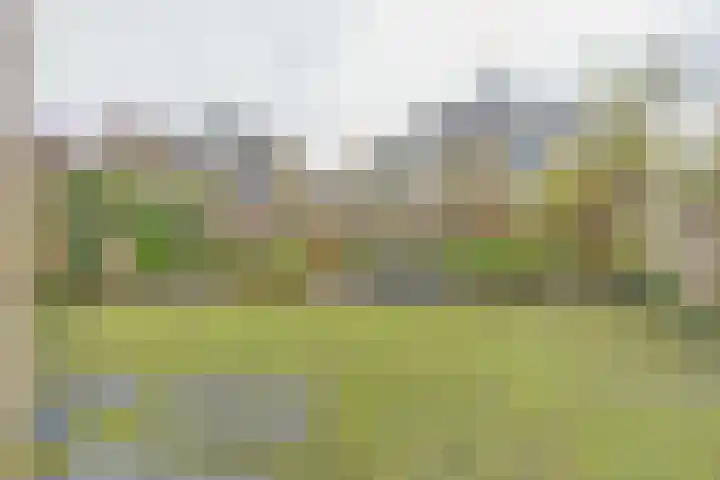 Luwte 3 De Meern thumbnail 20