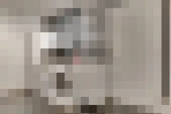 Luwte 3 De Meern thumbnail 28