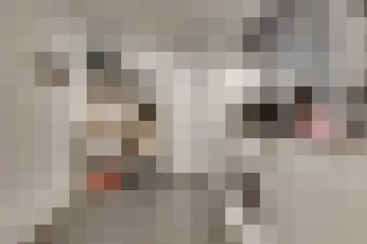 Luwte 3 De Meern thumbnail 29