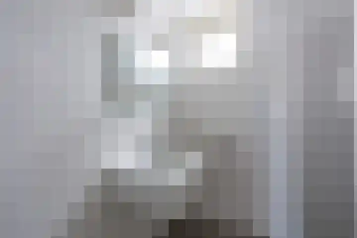 Luwte 3 De Meern thumbnail 36