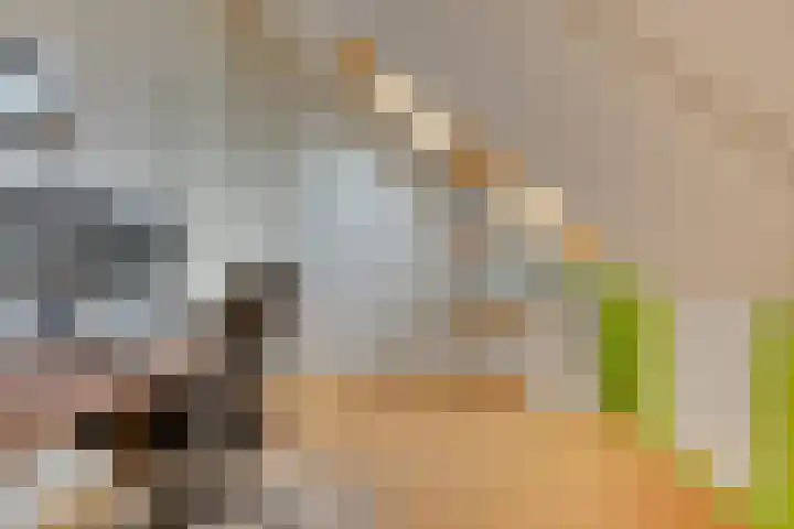 Luwte 3 De Meern thumbnail 40