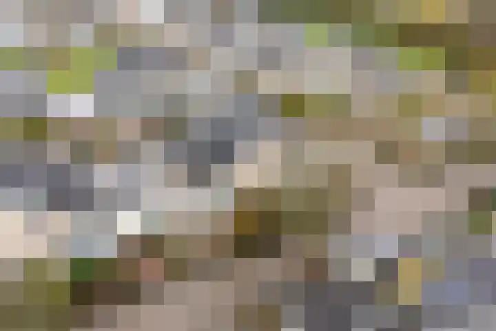 Luwte 3 De Meern thumbnail 44