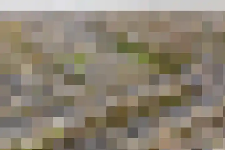 Luwte 3 De Meern thumbnail 46