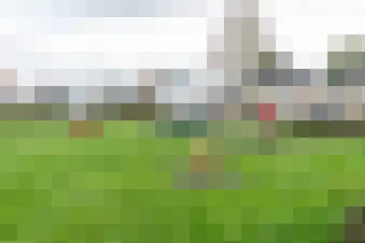 Luwte 3 De Meern thumbnail 47