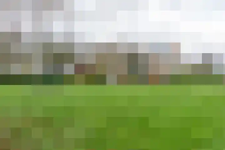 Luwte 3 De Meern thumbnail 48
