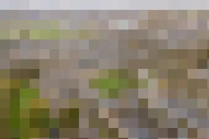Luwte 3 De Meern thumbnail 49