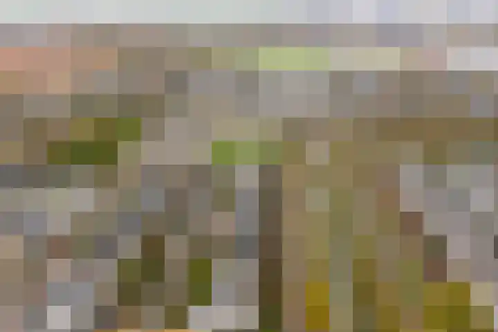Luwte 3 De Meern thumbnail 50