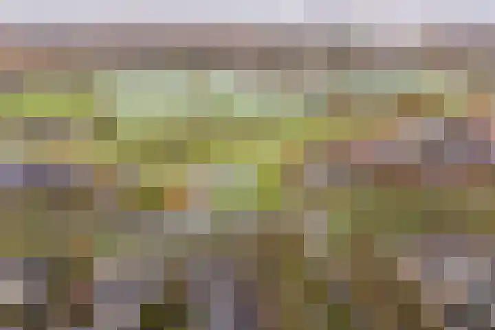 Luwte 3 De Meern thumbnail 51