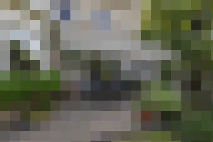 Luwte 4 De Meern thumbnail 24