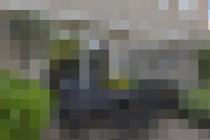 Luwte 4 De Meern thumbnail 25